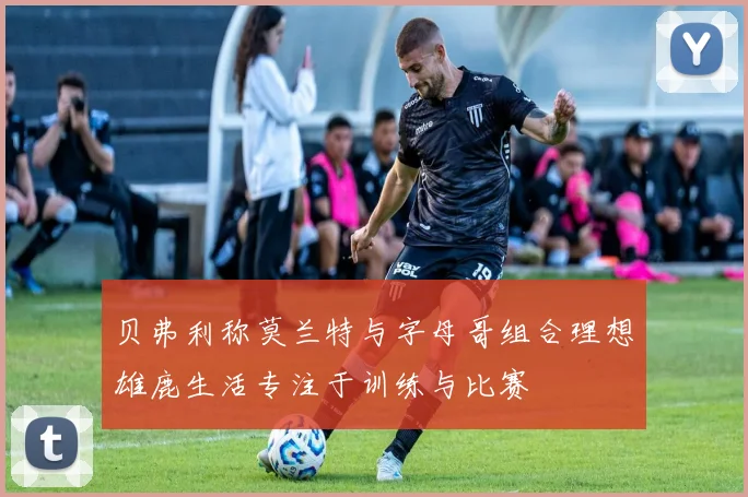 贝弗利称莫兰特与字母哥组合理想雄鹿生活专注于训练与比赛